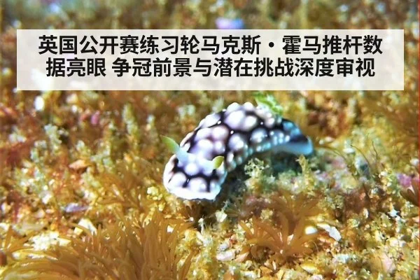 英国公开赛练习轮马克斯·霍马推杆数据亮眼 争冠前景与潜在挑战深度审视
