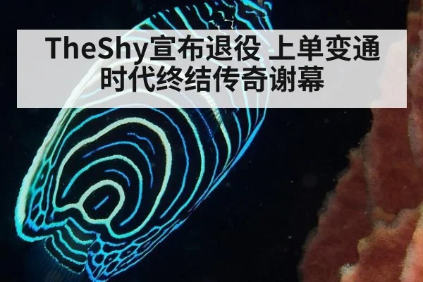TheShy宣布退役 上单变通时代终结传奇谢幕
